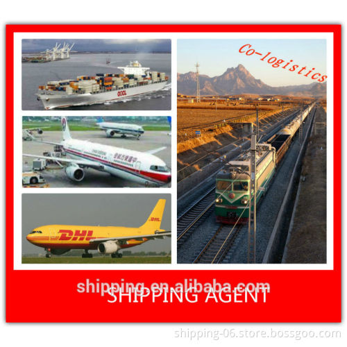 global logistic sea freight/ air freight service freight forwarder- vera SKYPE:colsales08